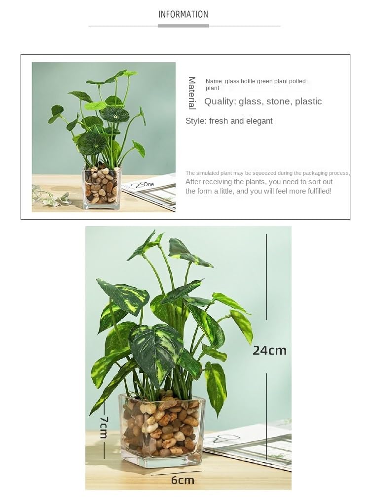 Amazon｜観葉植物ガラス瓶の四つ葉のクローバーの常緑樹の